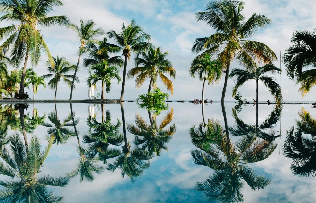 Seychelles + Mauritius Single Occupancy